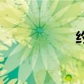 约旦新内阁宣誓就职