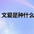 文爱是种什么体验类型（文爱是种什么体验）