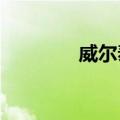 威尔泰：董事长叶鹏智辞职