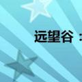 远望谷：终止6.38%股份转让协议