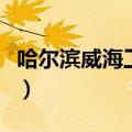 哈尔滨威海工业大学录取分数线（哈尔滨威海）