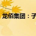 龙佰集团：子公司竞拍获得9900万元探矿权