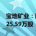 宝地矿业：股东拟减持公司股份合计不超过125.59万股