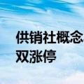 供销社概念异动拉升 供销大集、新力金融双双涨停