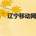 辽宁移动网站官网登录（辽宁移动网站）