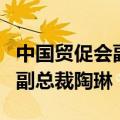 中国贸促会副会长张少刚会见美国特斯拉公司副总裁陶琳