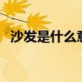 沙发是什么意思网络流行语言（流行语言）