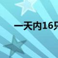 一天内16只新基金成立，权益基金居多