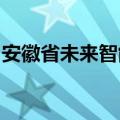 安徽省未来智能网联新能源汽车创新中心成立