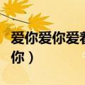 爱你爱你爱着你不离不弃歌词（爱你爱你爱着你）