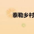 泰勒乡村音乐的歌（乡村歌手泰勒）