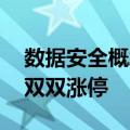 数据安全概念持续活跃 国华网安、大唐电信双双涨停