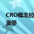 CRO概念拉升走高 睿智医药、百花医药双双涨停