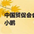 中国贸促会会长任鸿斌会见小鹏汽车董事长何小鹏