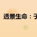 透景生命：子公司医疗器械注册申请获受理