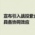 宣布引入战投紫金矿业后股价开盘涨停 龙高股份回应：业务具备协同效应