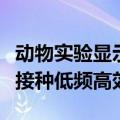 动物实验显示调整剂量配比可实现艾滋病疫苗接种低频高效