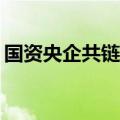 国资央企共链行动提速 助力产业提质向“新”