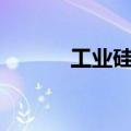 工业硅、碳酸锂主连均涨超2%
