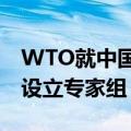 WTO就中国诉美《通胀削减法》世贸争端案设立专家组