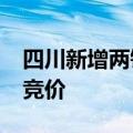 四川新增两锂矿拍卖 已开放报名 11月6日起竞价