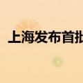 上海发布首批“市区协同”千亿级产业集群