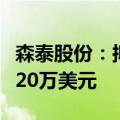 森泰股份：拟设立美国子公司注册资本不超过20万美元
