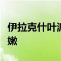 伊拉克什叶派民兵武装宣布进行动员援助黎巴嫩