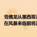 雪佛龙从墨西哥海湾生产平台撤离非必要人员 墨西哥湾生产在风暴来临前将正常进行