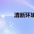 清新环境：董事赵科星，张峥辞职
