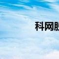 科网股拉升走高 蔚来涨超8%