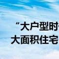 “大户型时代”来临 多城出台政策鼓励购买大面积住宅