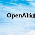 OpenAI向白宫推介大规模数据中心建设