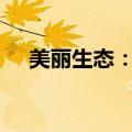 美丽生态：涉案金额4460万元重大仲裁