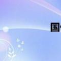 国债期货午后集体上涨