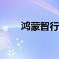 鸿蒙智行：智界R7大定已超6000台
