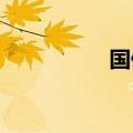 国债期货收盘全线大涨