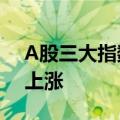 A股三大指数均涨超3% 两市超5200家个股上涨