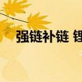 强链补链 锂电材料上市公司加速“出海”