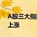 A股三大指数均涨超2% 两市超4800家个股上涨