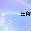三角轮胎：董事熊顺民辞职