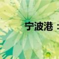 宁波港：董事张欣因工作原因辞职