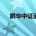 鹏华中证酒ETF触及涨停，为历史首次