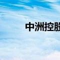 中洲控股：收到行政监管整改报告