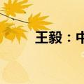 王毅：中国将对希腊实施免签政策