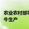 农业农村部等七部门联合印发通知稳定肉牛奶牛生产