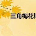 三角梅花期是几月份开（三角梅花期）
