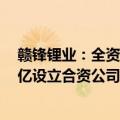 赣锋锂业：全资子公司拟与南京公用及环境集团共同出资1亿设立合资公司