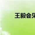 王毅会见罗马尼亚外长奥多贝斯库