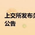 上交所发布关于股票竞价交易出现异常情况的公告